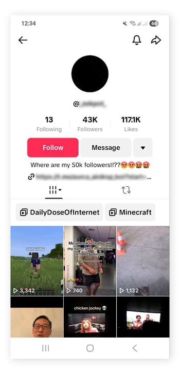 A screenshot of someone’s TikTok account profile.
