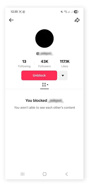 An example of what a TikTok user profile looks like after you block them.