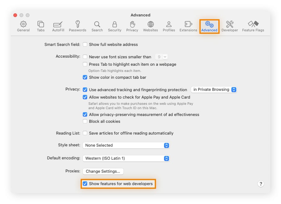 The Advanced settings in Safari, with a tick next to Show features for web developers.