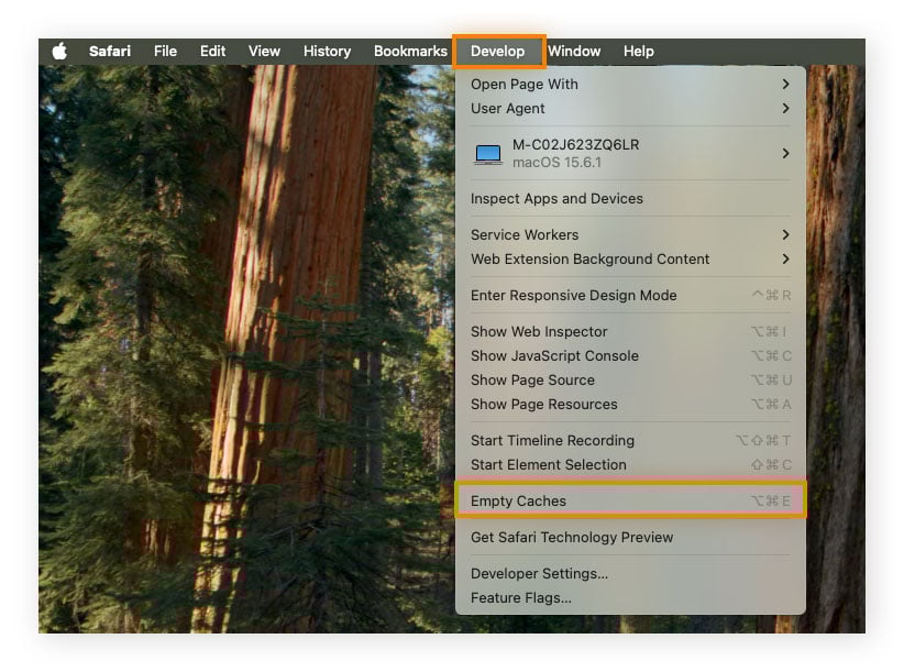 Click Empty Caches in the Develop menu to clear the caches on your Mac.