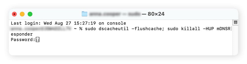 Running "sudo dscacheutil -flushcache; sudo killall -HUP mDNSResponder" command in terminal, Mac.