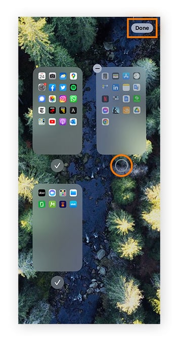 Unchecking an apps page to hide it completely from the iPhone or iPad home screen on iOS 17.