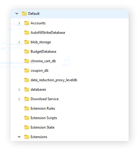 Opening the Default folder in the User Data folder of the Chrome folder
