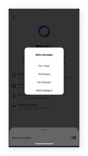The menu of mute messages duration options.
