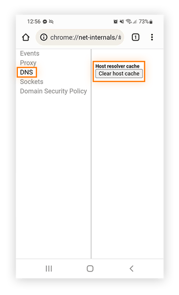 Vaya a DNS > Clear host cache para eliminar el historial de incógnito en el teléfono y borrar la caché de DNS.