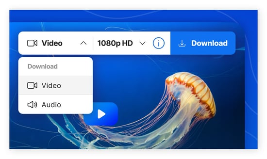 A screenshot of the Avast Secure Browser Video Downloader.