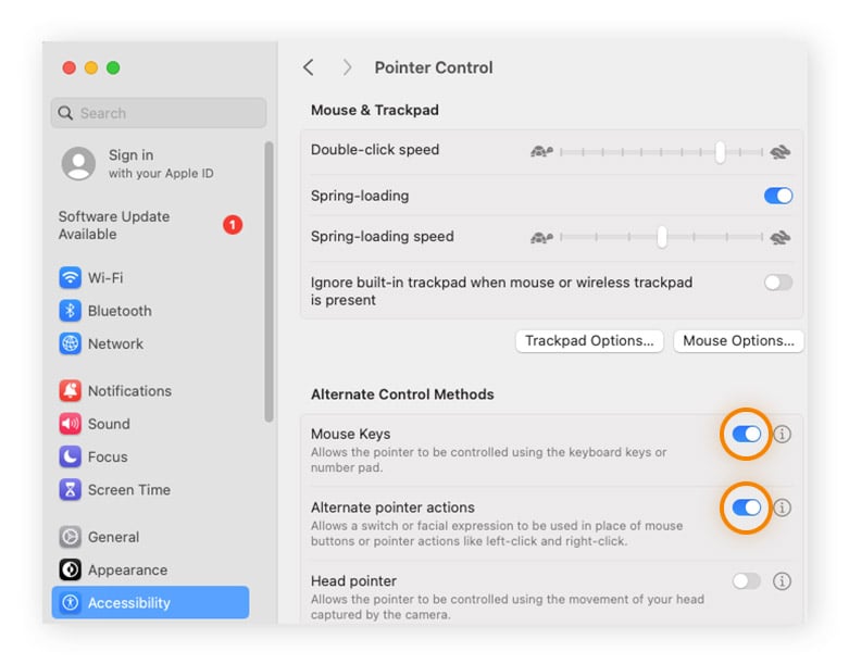 Ative as Teclas do mouse ou Ações alternativas do cursor para habilitar o método relevante.