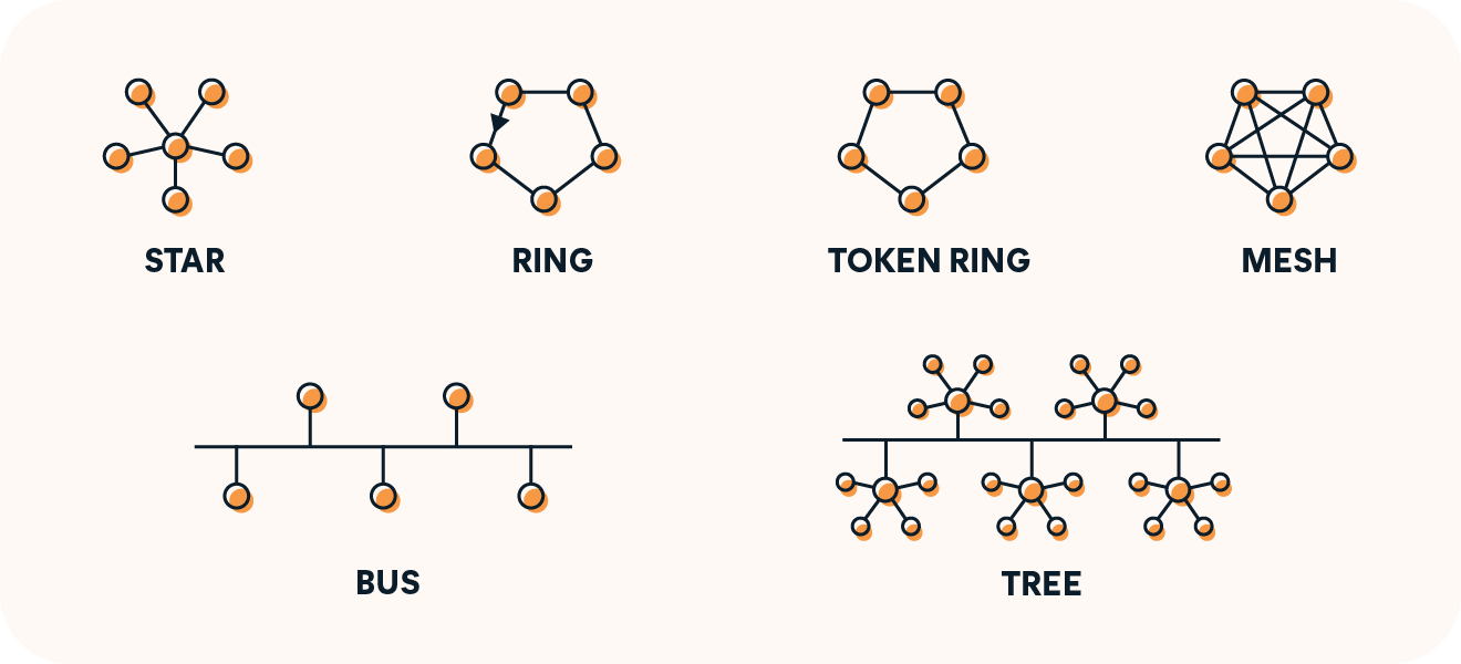 Diagrams depicting the main types of computer network topology.