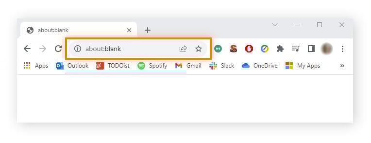 Example of the about:blank page in a Chrome browser