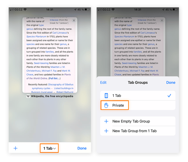 Aller dans le paramètre Privée dans Safari pour naviguer en mode Incognito sur votre iPhone.