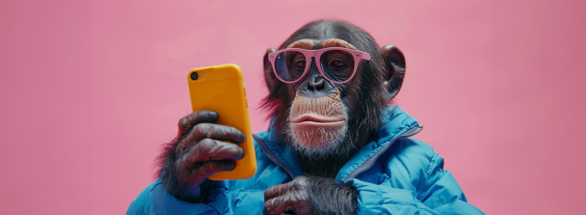 monkey-app-hero