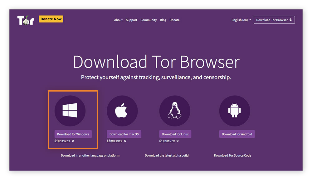 The Tor Network: A Guide to the Dark Web Browser