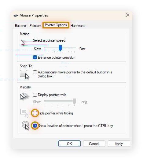 Customizing Pointer Options to get mouse cursor back.